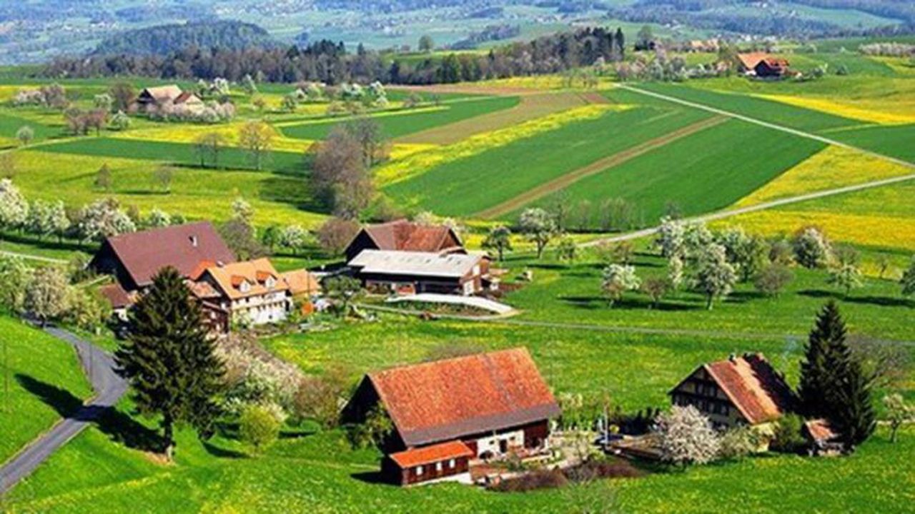 countryside1_26090800
