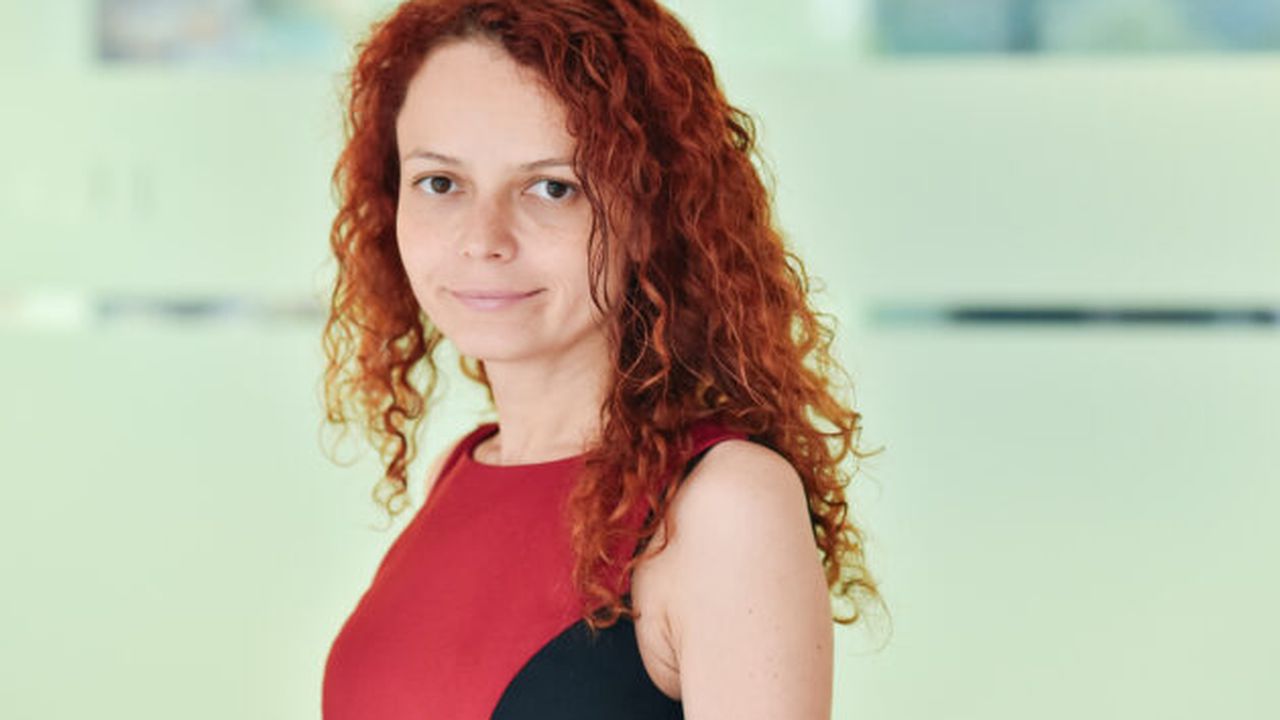 Ana Petrescu, Deloitte