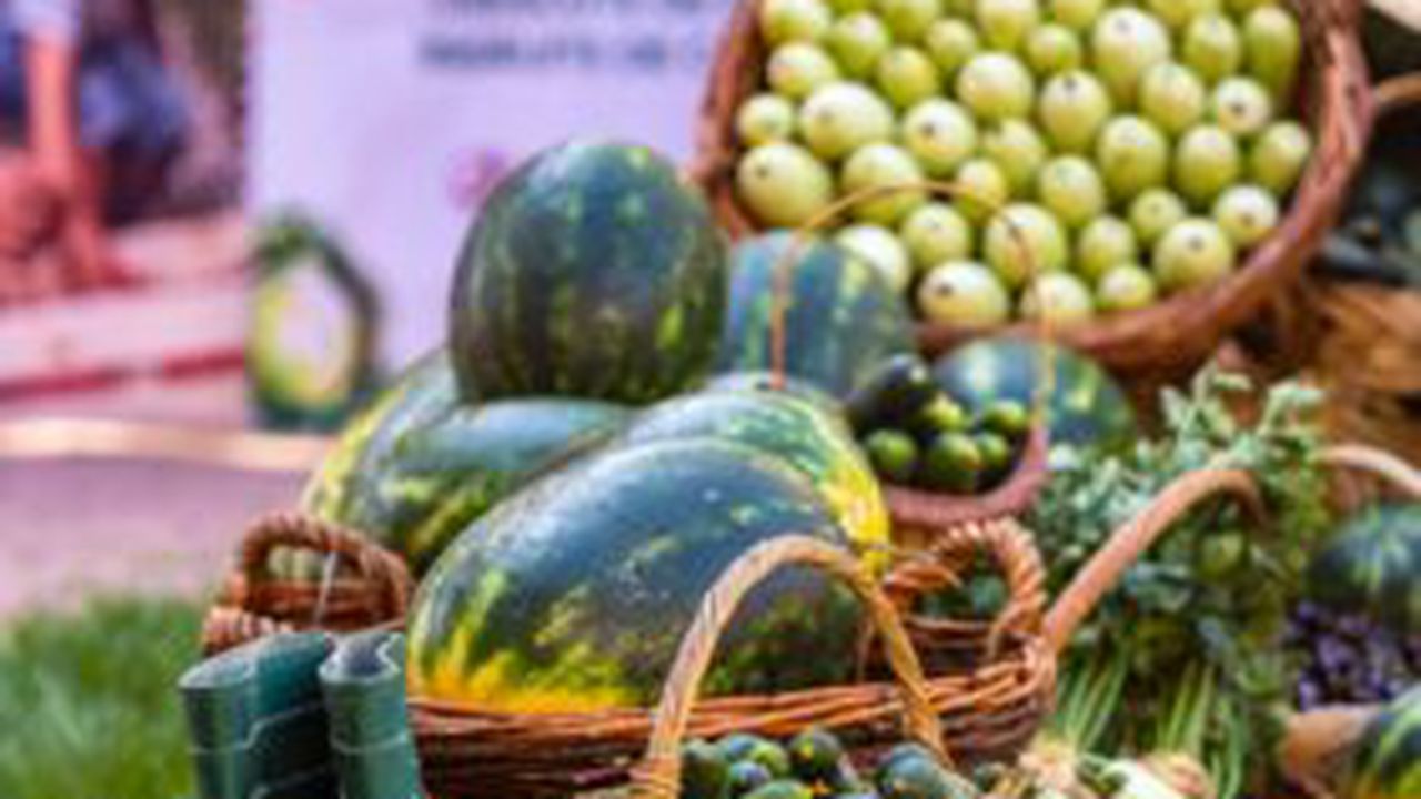 Lansare Cooperative - Gradina Noastra - 19.07.2022 (5)