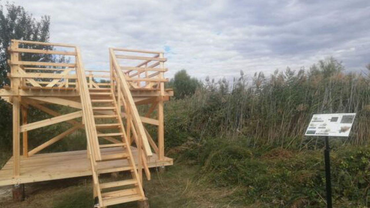 Foisor Parcul National Vacaresti