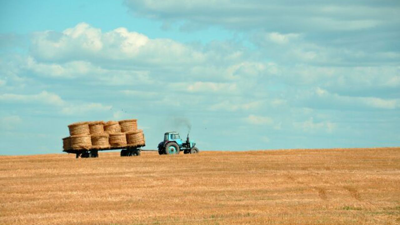 agricultura