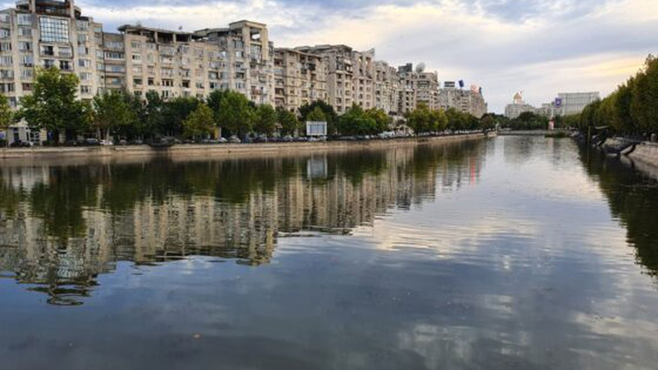 blocuri de apartamente