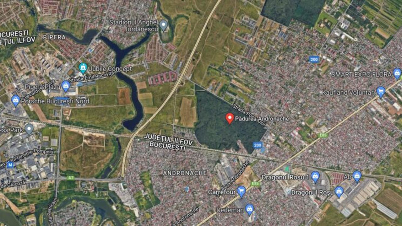 padurea andronache