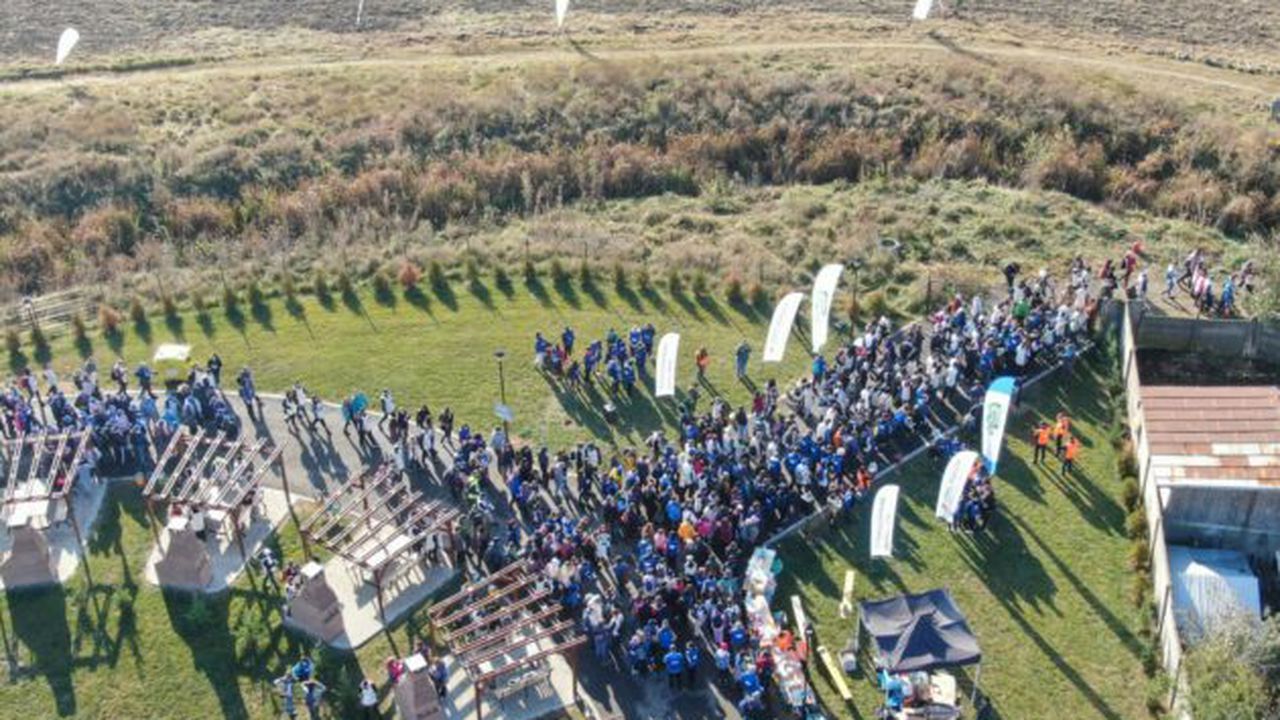 OMV Petrom actiune plantare puieti