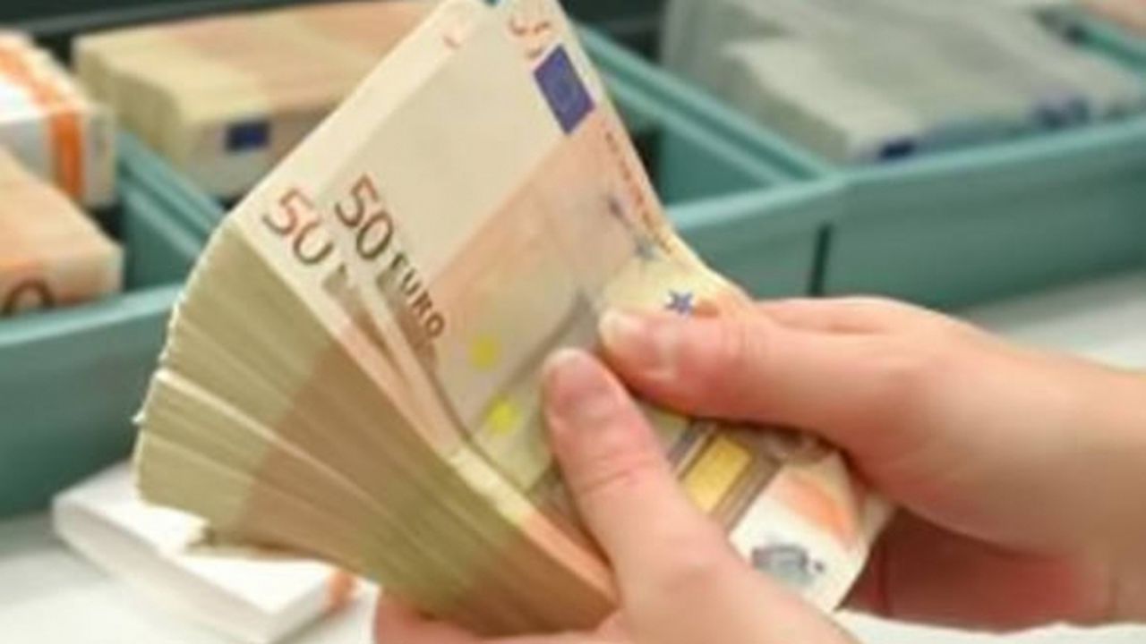 euro bani 50