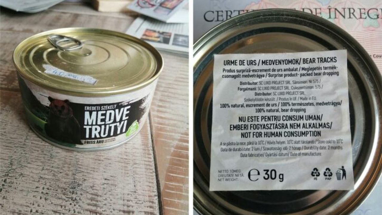 suvenir-urs-1140x660