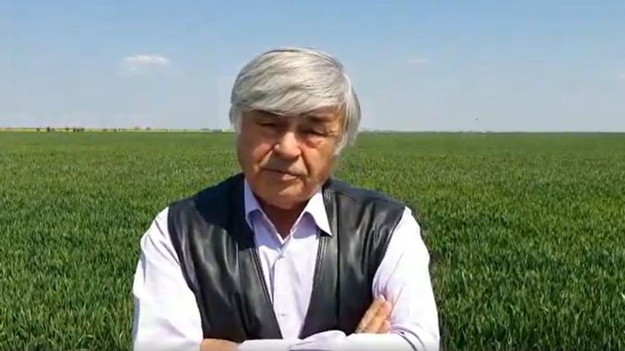 Dimitrie-Musca agrointel