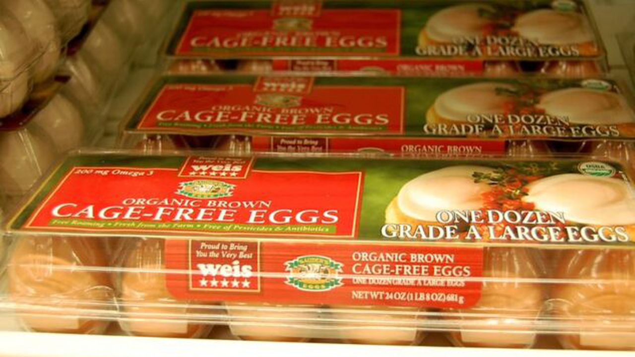 2309212528_df1129528e_c