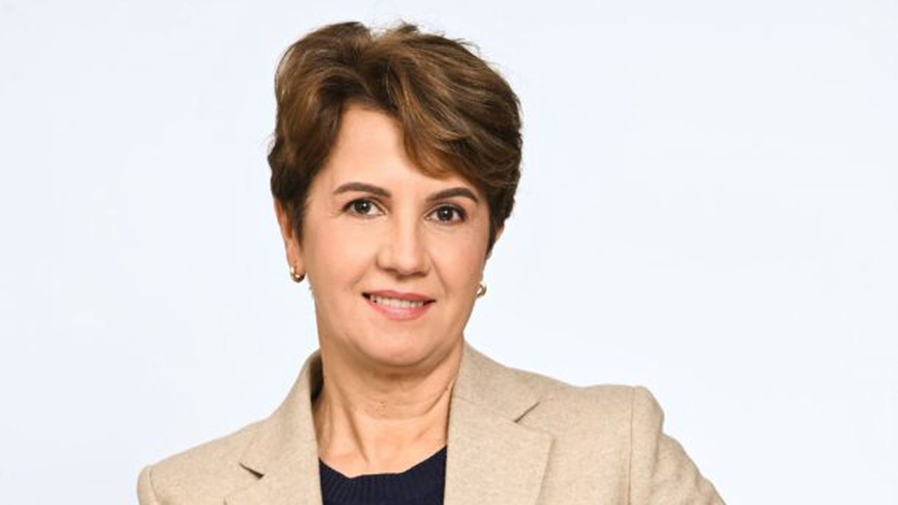 Elena Ungureanu_Visa