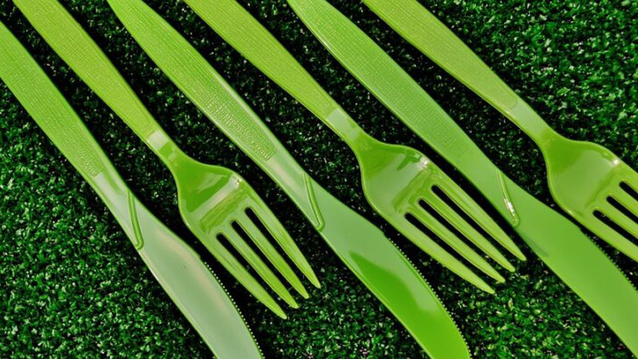 One Way Picnic Fork Knife Green Cutlery Plastic