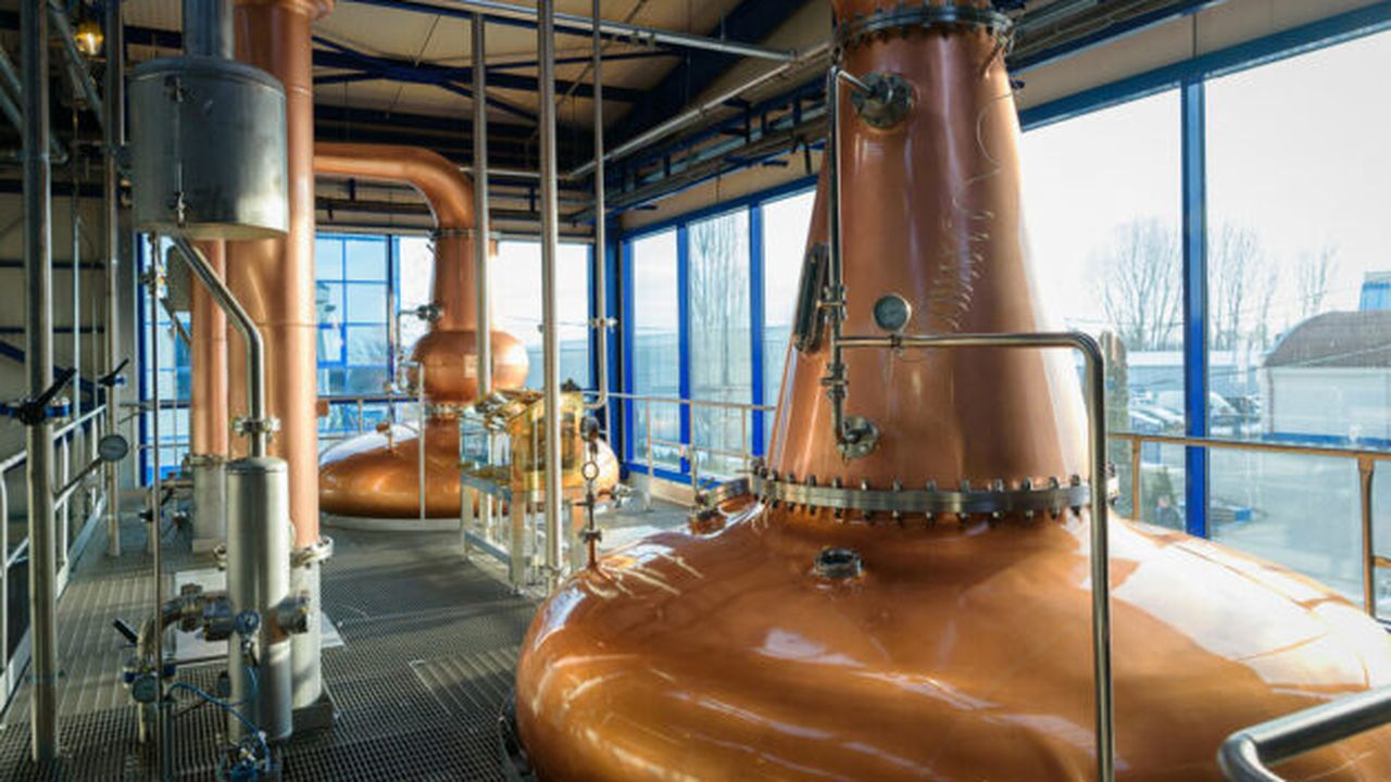 distilerie Alexandrion Group