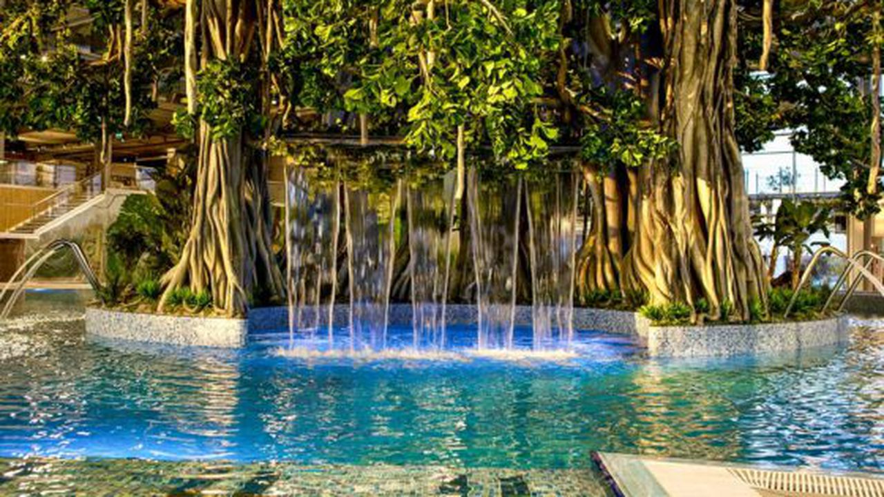 Amazonia_Sala_Bazinelor_Copac-Central-Cascade