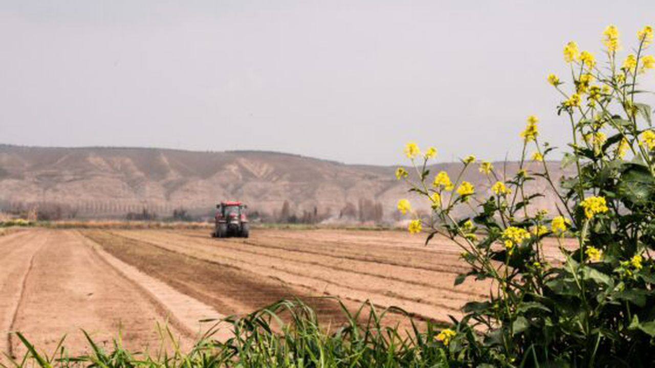 teren agricol
