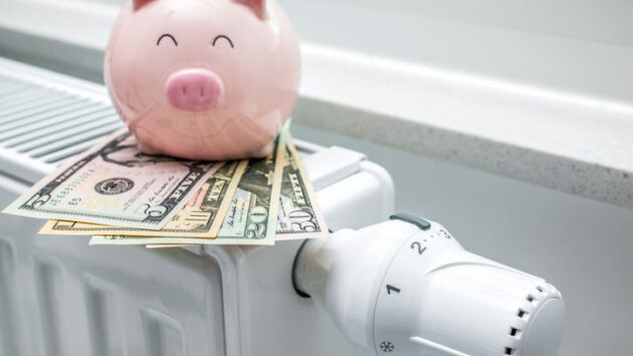 economie energie bani