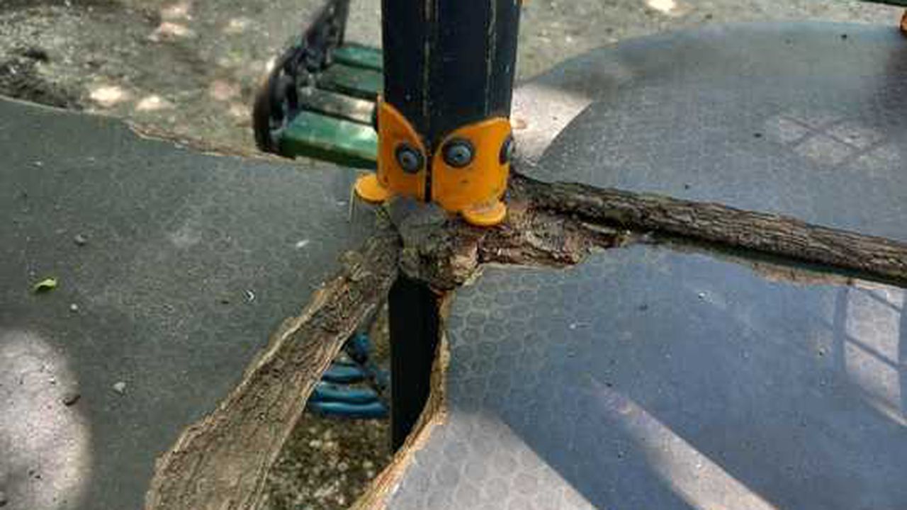 Control ANPC parcuri Bucuresti