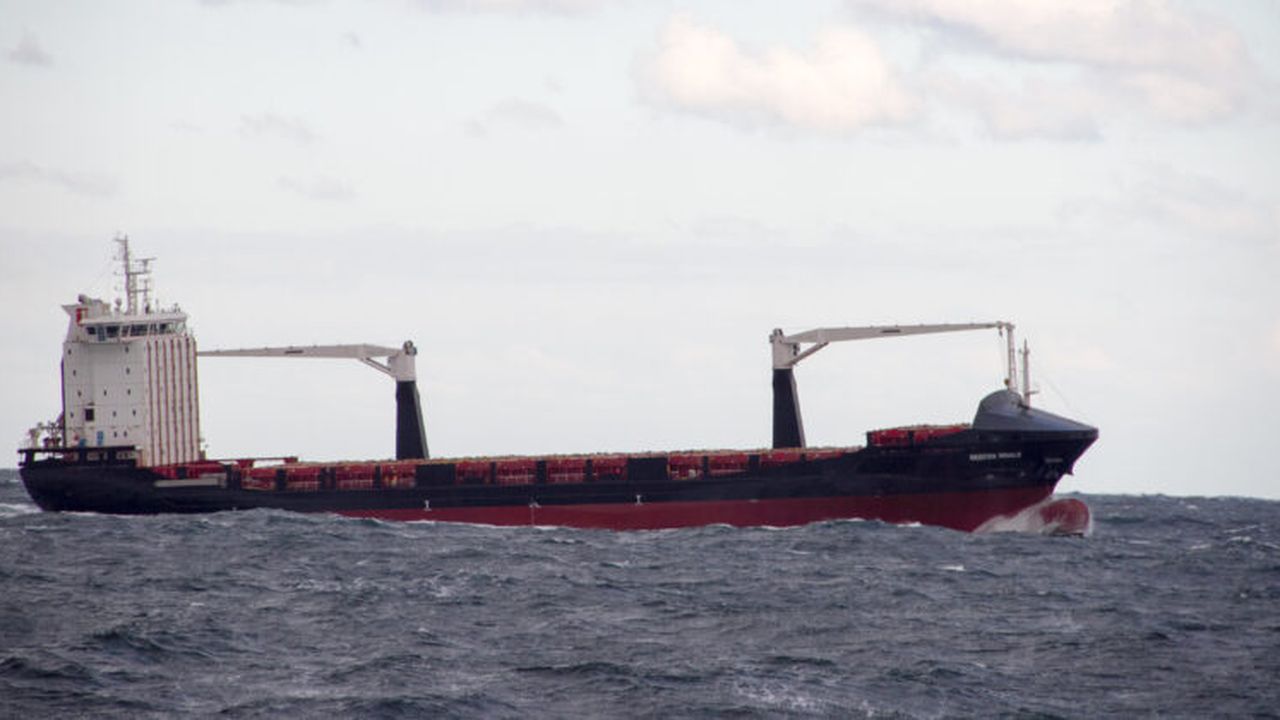 Container_ship_Reecon_Whale_on_Black_Sea_near_Constanța_Romania