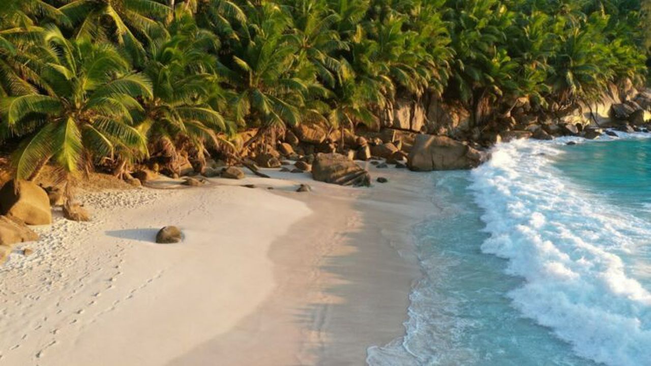 vacanta insula litoral 43645765