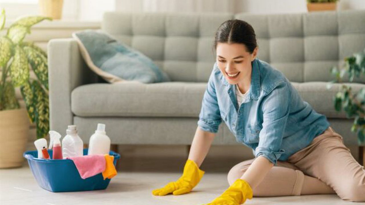 woman-doing-cleaning-the-house