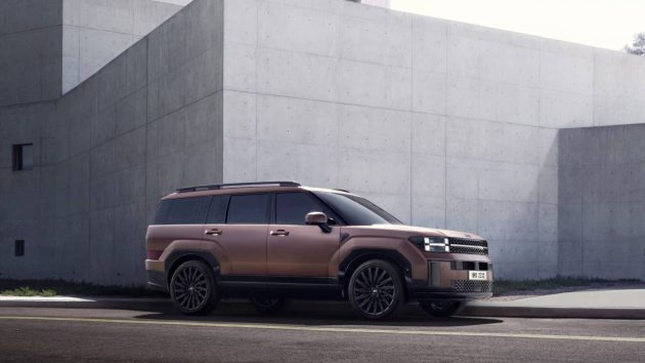 Hyundai Santa Fe 2024 (6)