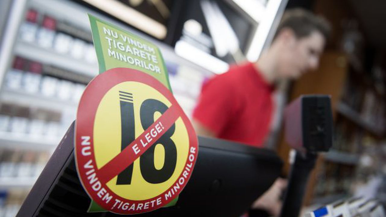 BAT photography 2013