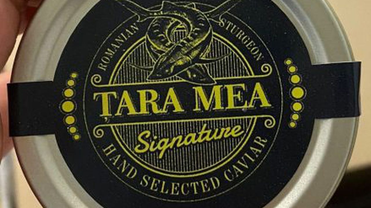 73992A47-3A21-4D19-8D23-B13D7BC229AE