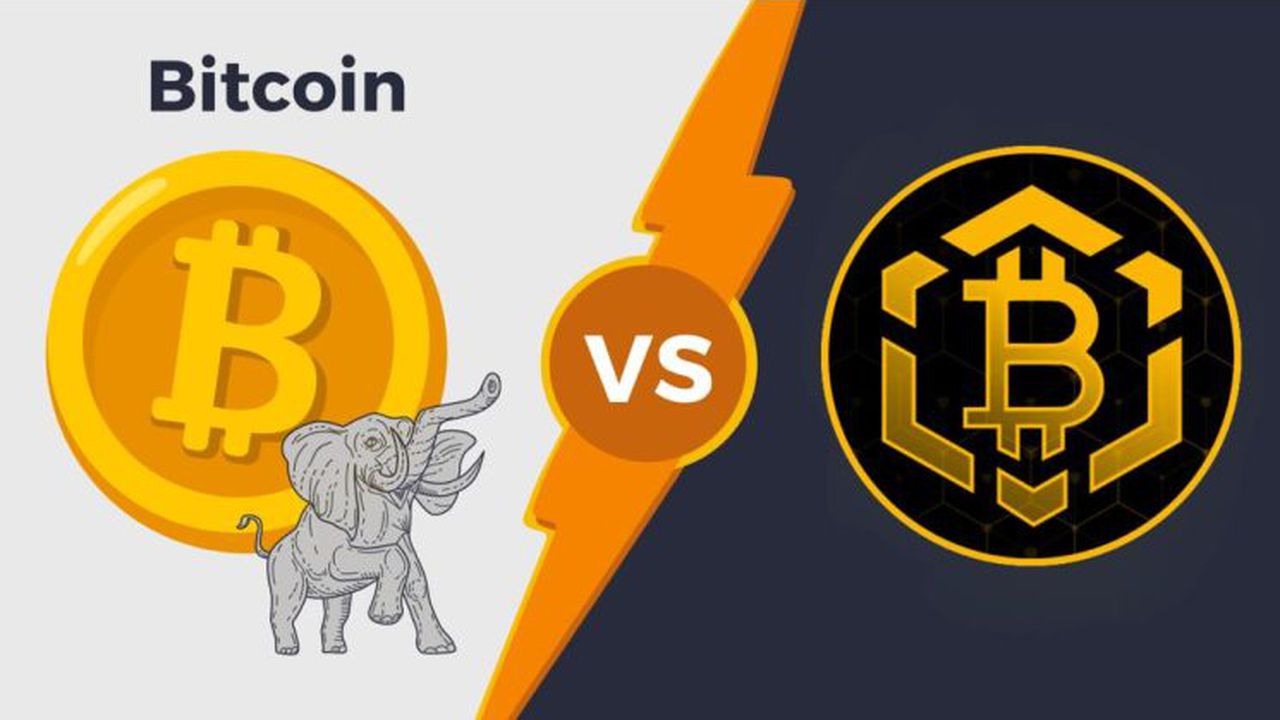 bitcoin bsc 1232132443545