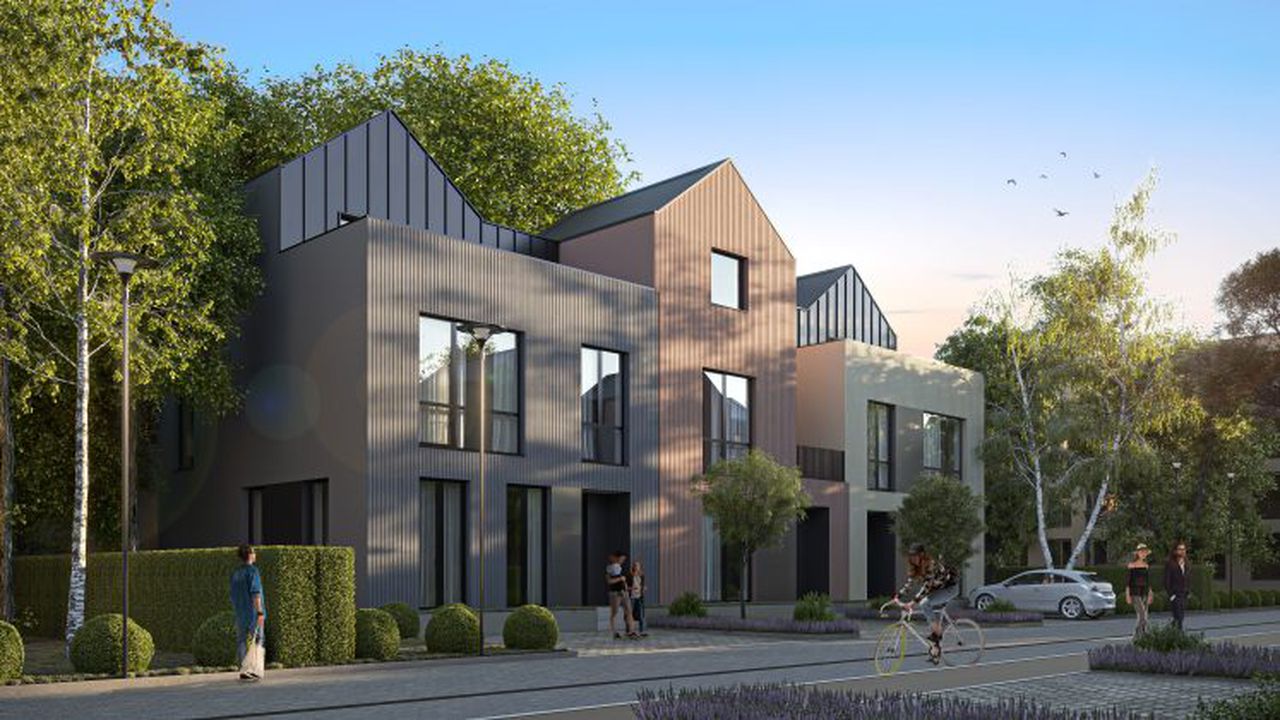 Meadows ccomplex rezidential