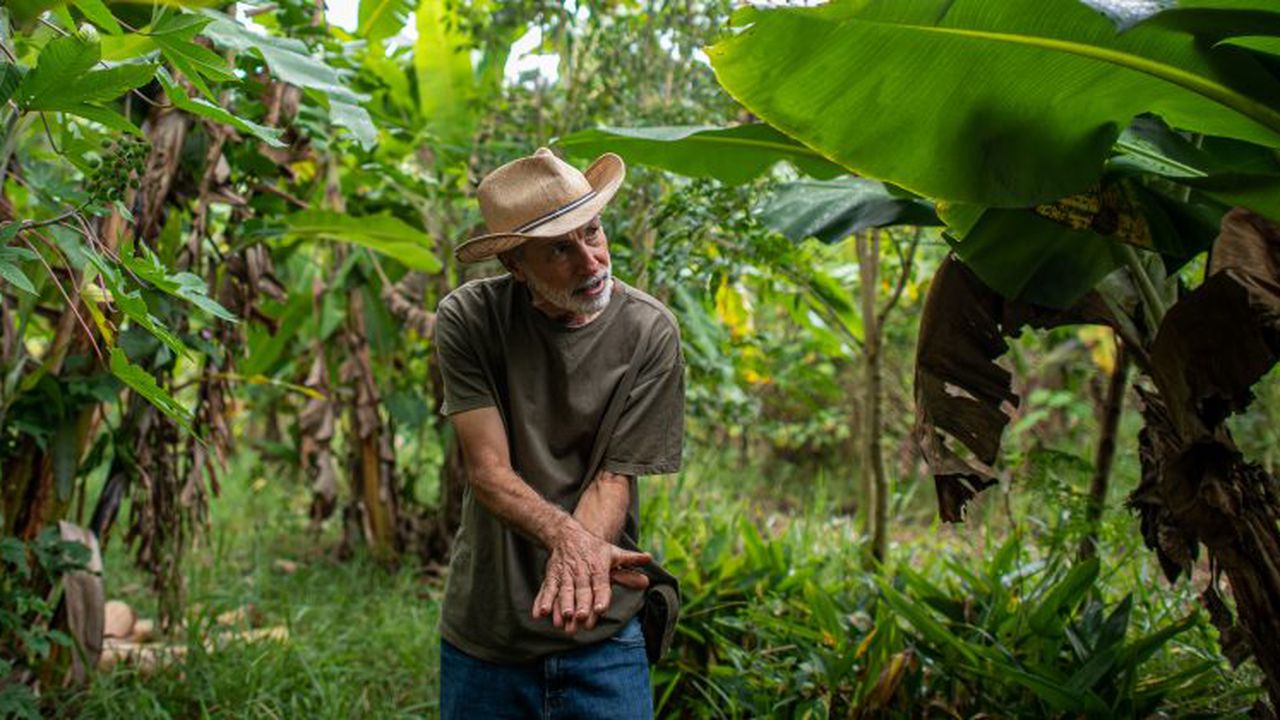 20230418_DercilioPupin_farmer_agroforestry_Piracaia_SP_Brazil_LucasNinno_DialogoChino-banner.jpg