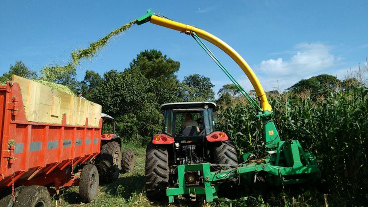 Recanto_Campo_Belo,_São_Paulo_-_State_of_São_Paulo,_Brazil_-_panoramio