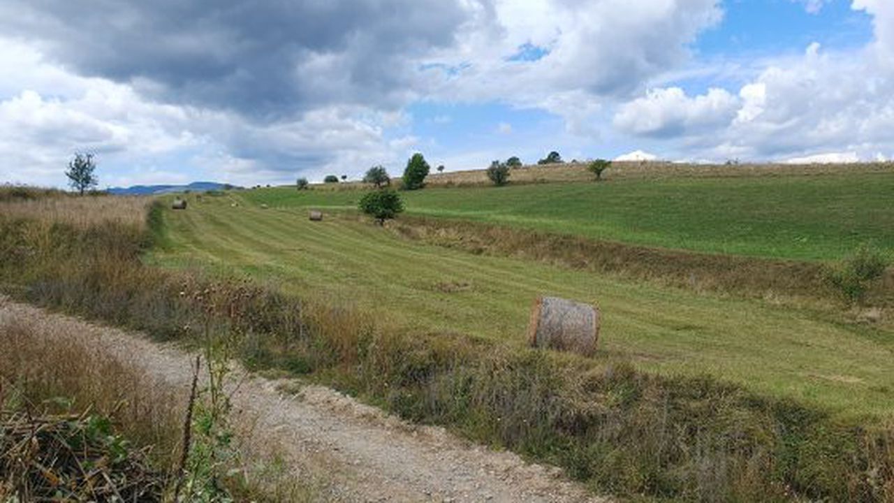 teren agricol4