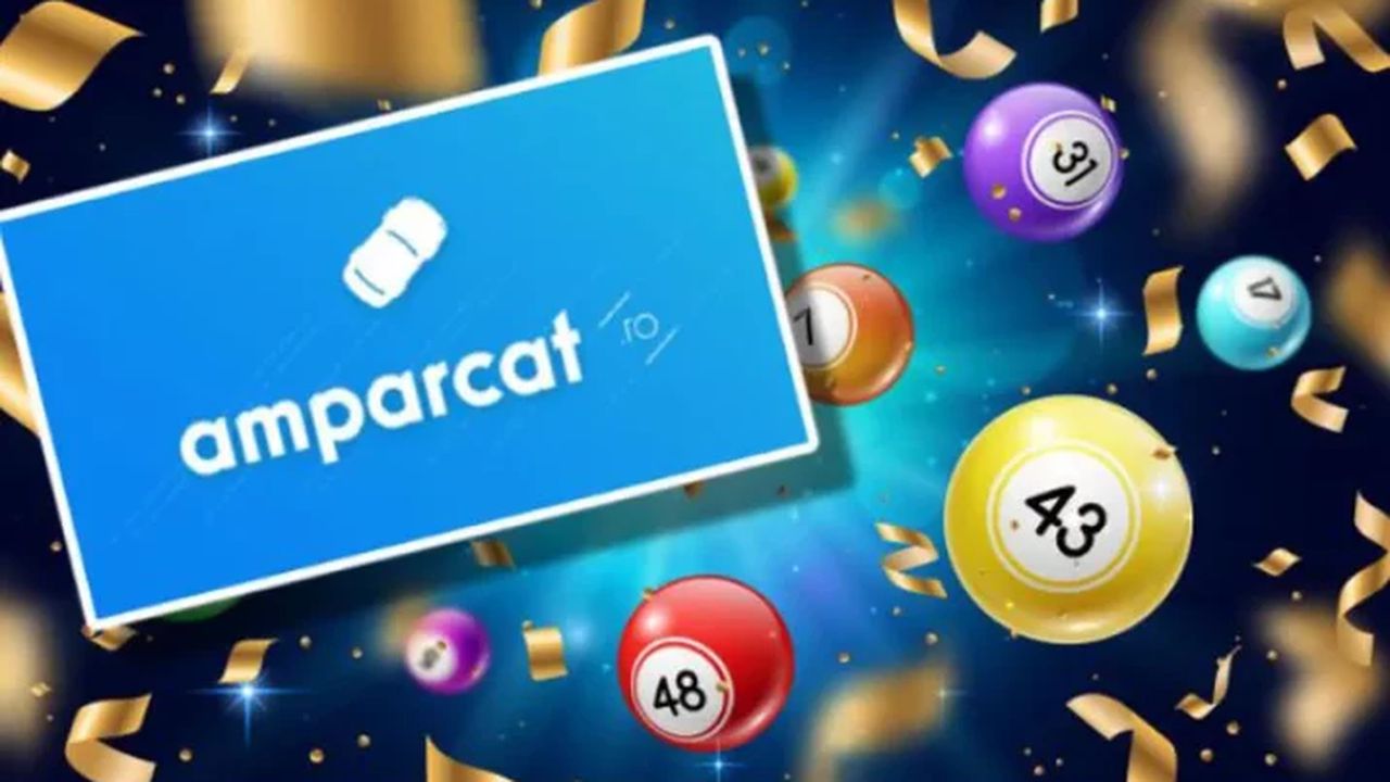 amparcat loto 45456567