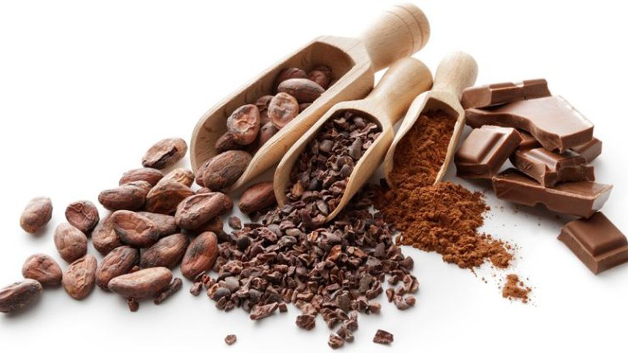 Flavouring: Cacao Beans, Nibs, Powder and Chocolate Bar