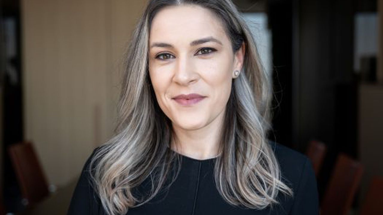 Ana Hoborici, Deloitte