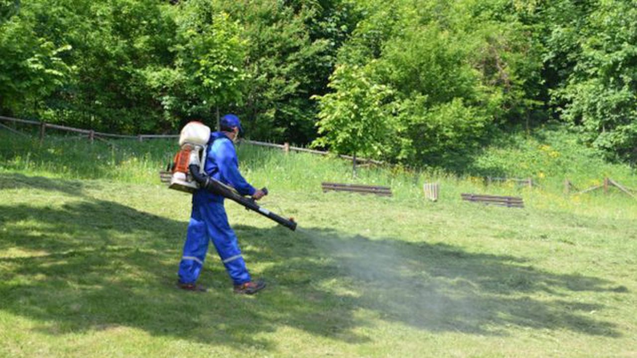 Combaterea căpișelor