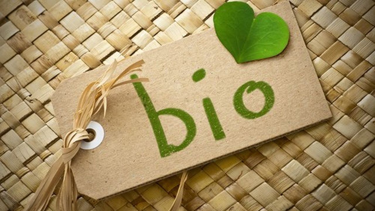 bio aliment mancare eticheta 768594869504