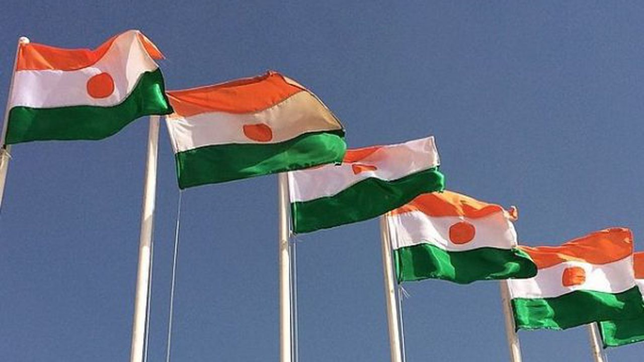 niger steag flag 4346876