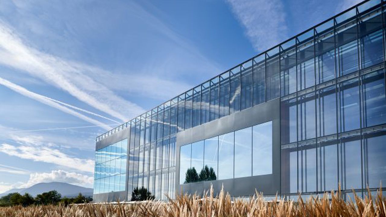 Philip Morris International (4)