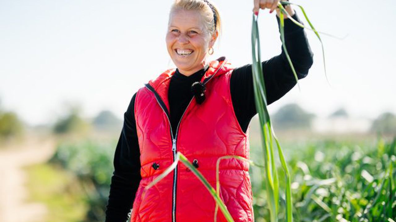 Carrefour Gradina Noastra din Varasti (1)