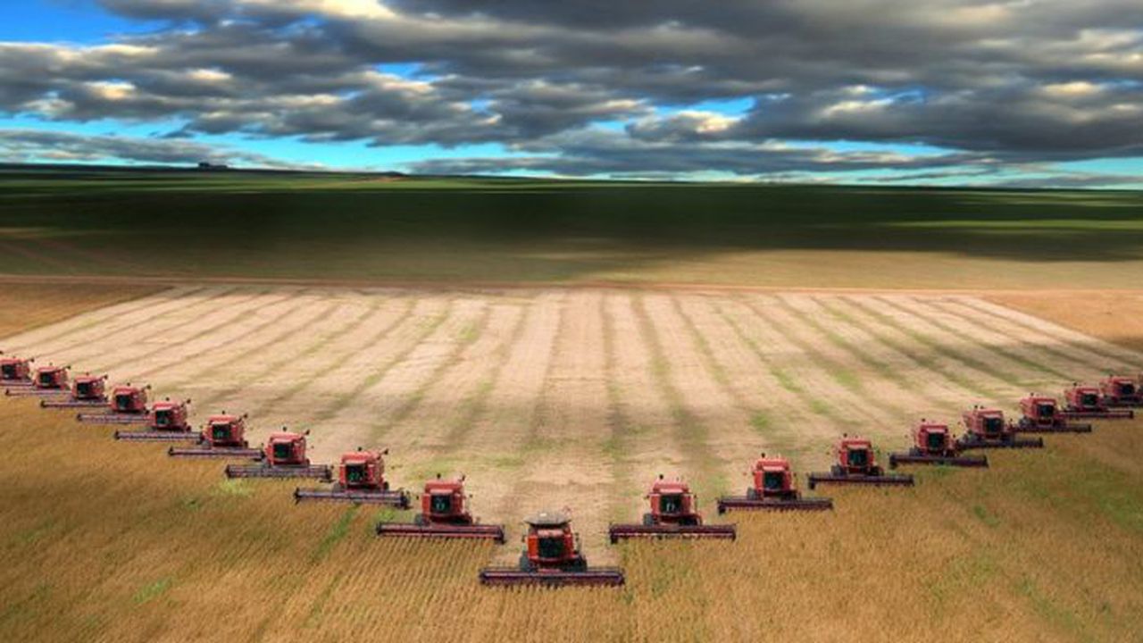 agricultura 0345874839
