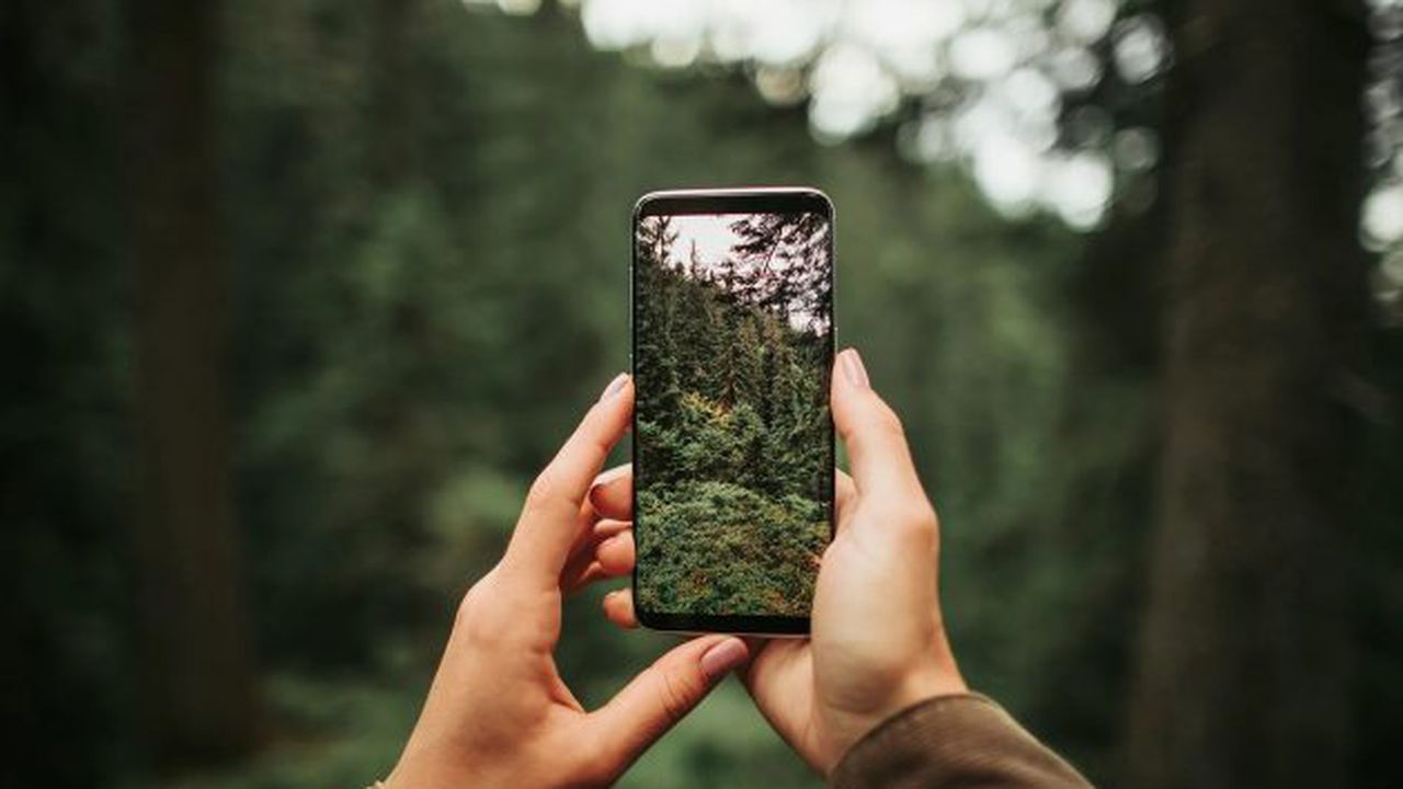 smatphone natura