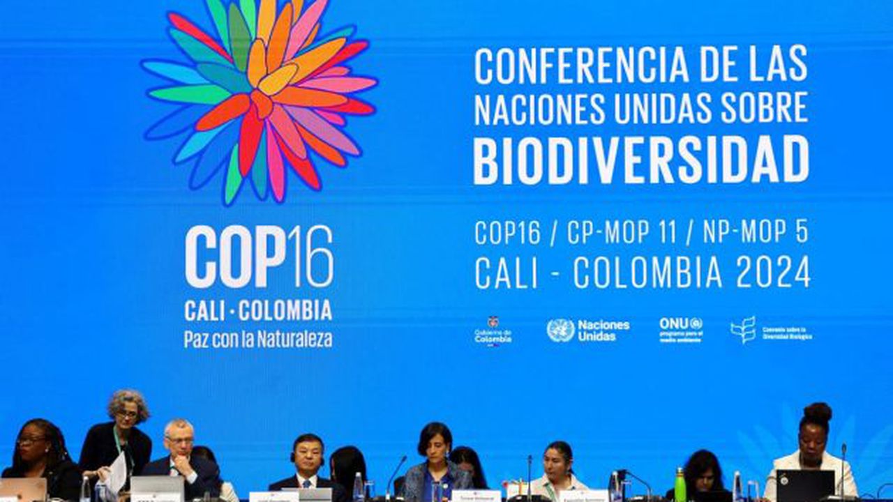 ONU COP-16 biodiversitate
