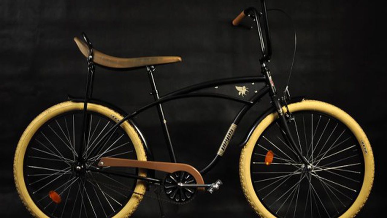 bicicleta pegas 3578764