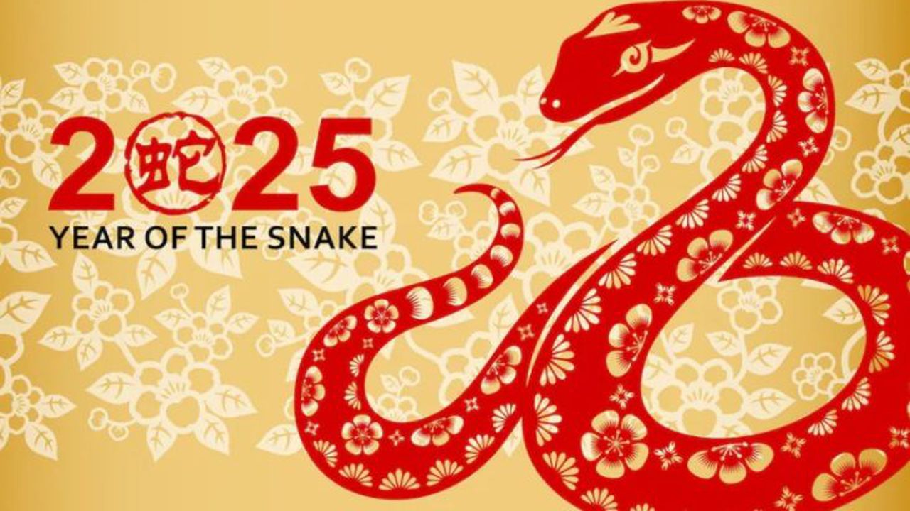 2025 anul sarpelui china 435