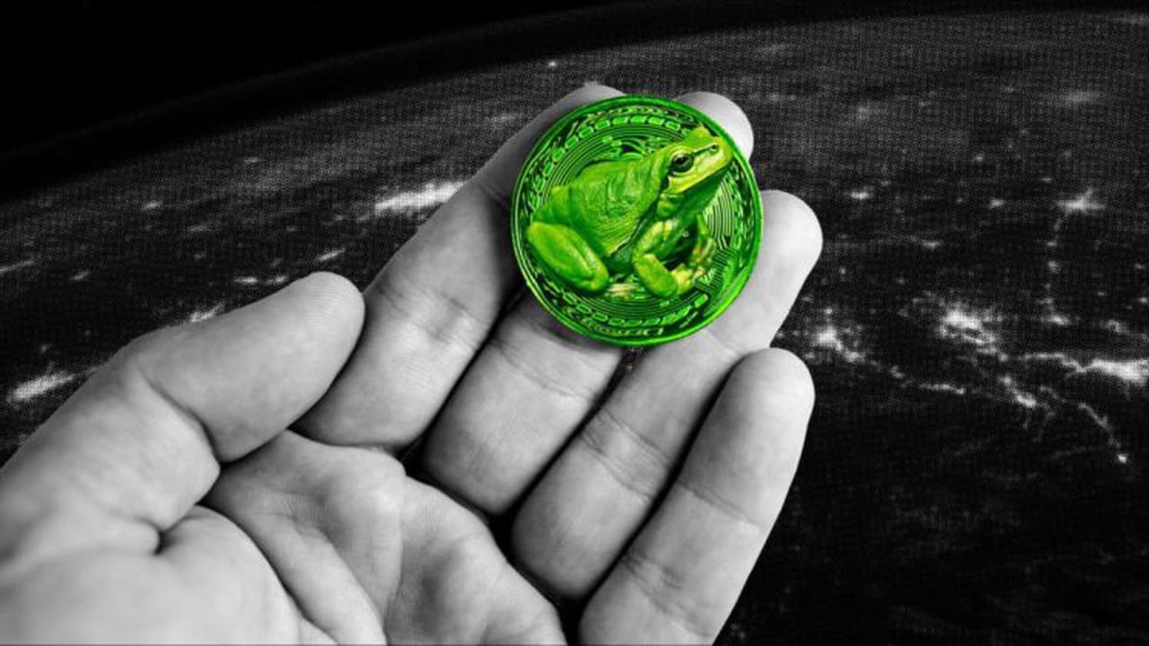 WhatsApp Image 2025-02-05 at 17.07.13