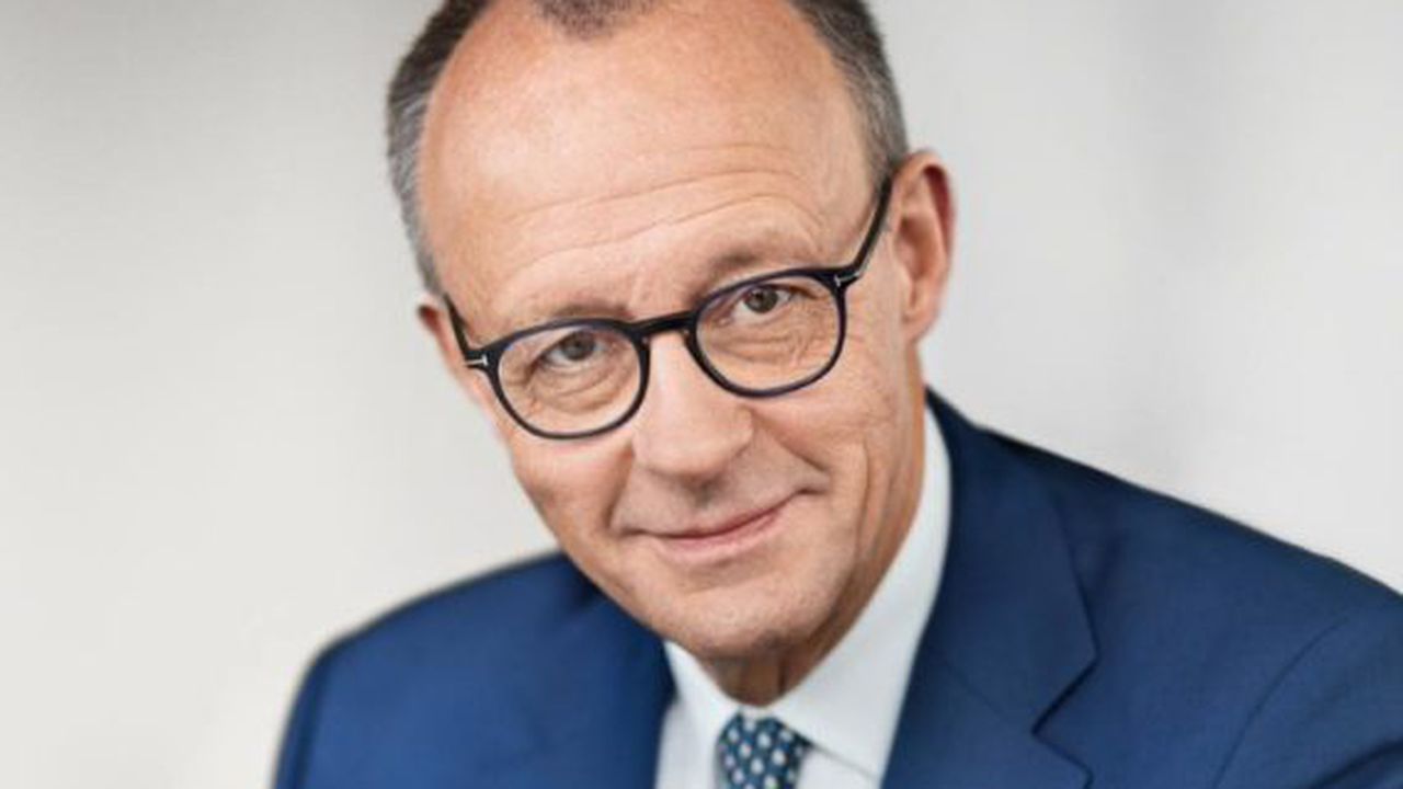 merz friedrich 436567