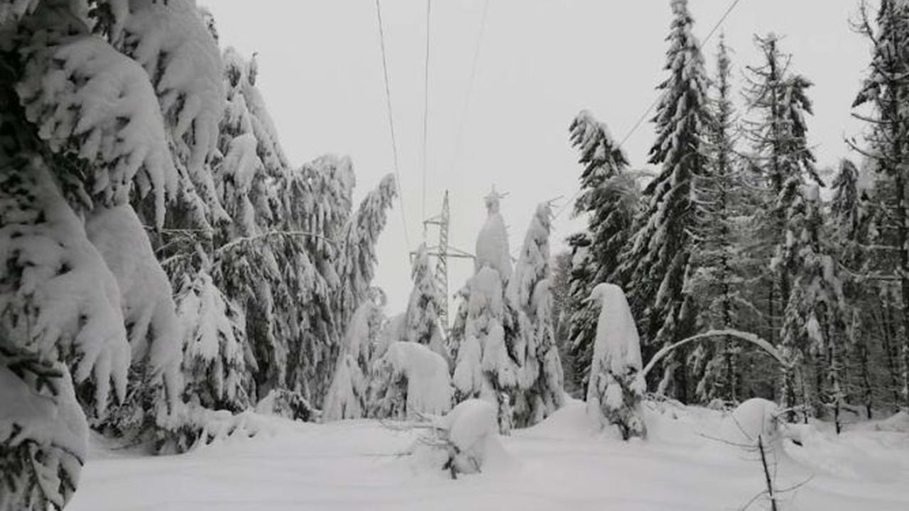 retea iarna 2_edited