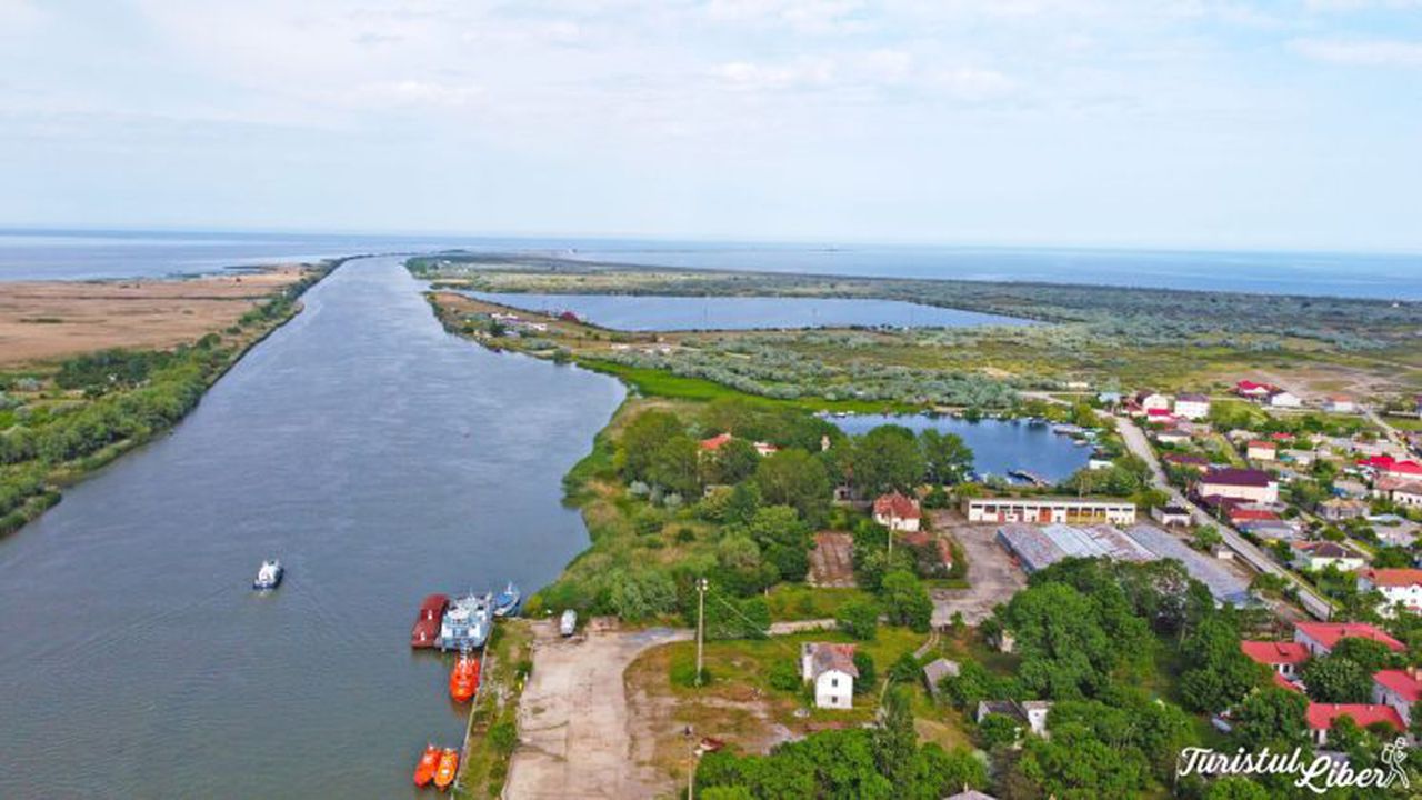 sulina