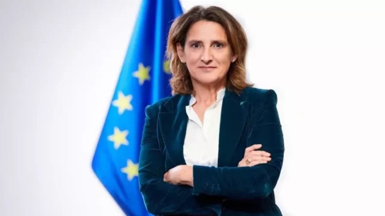 teresa ribera 5345676585