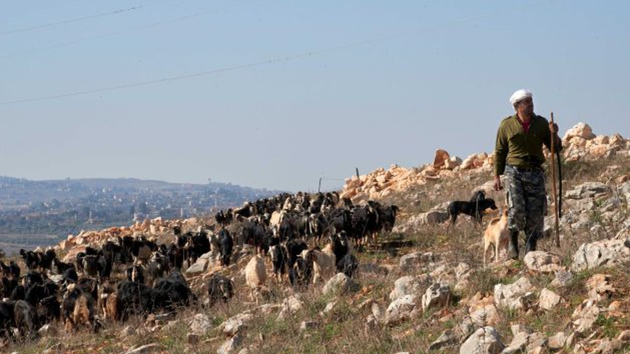 201119-salma---reforestation-nabatiyeh-0007m