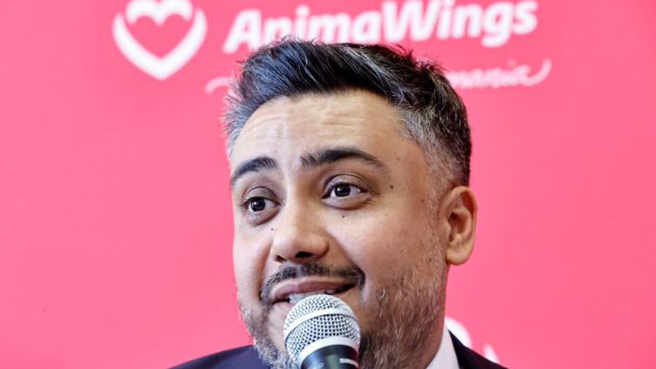 Marius Pandel AnimaWings_tm